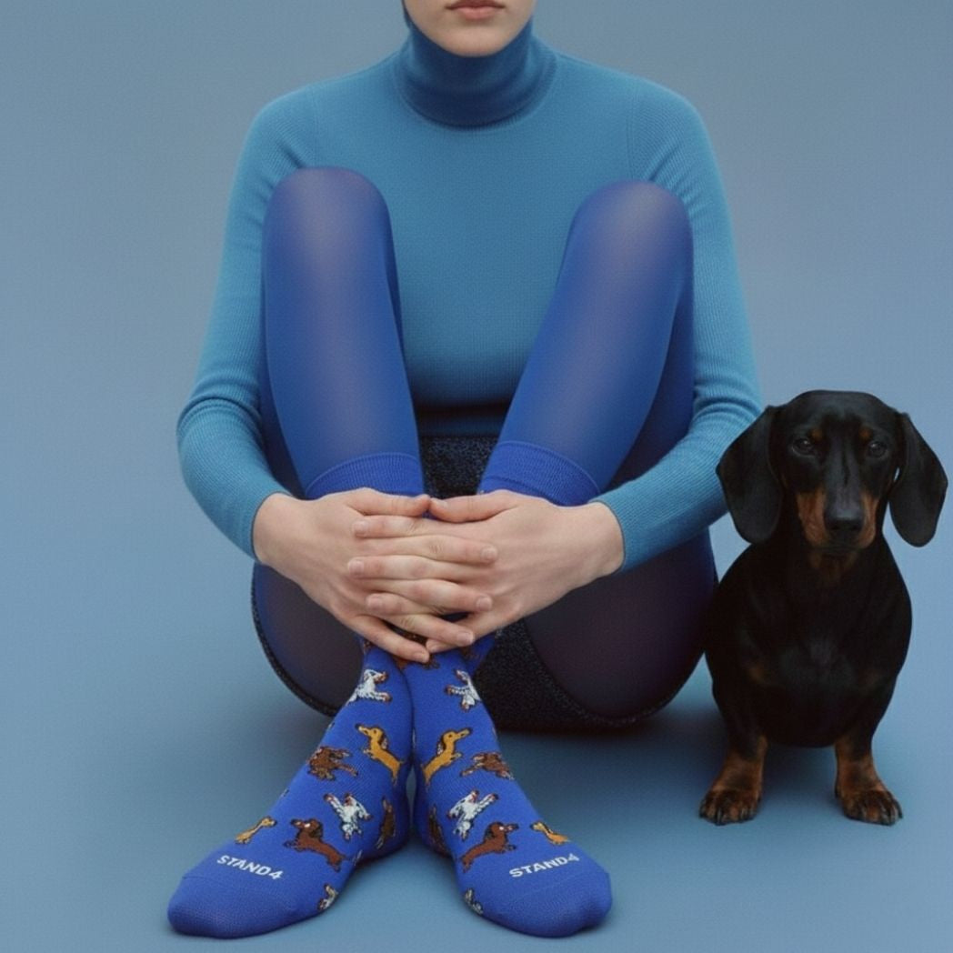 Dachshunds Sock
