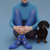 Dachshunds Sock