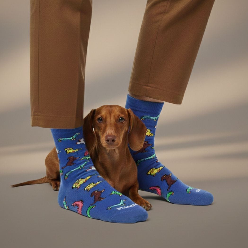 Dachshunds Sock
