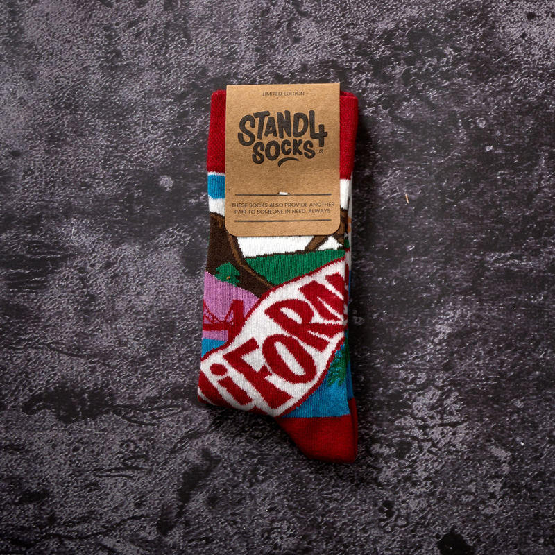 California State Sock 4-Pack