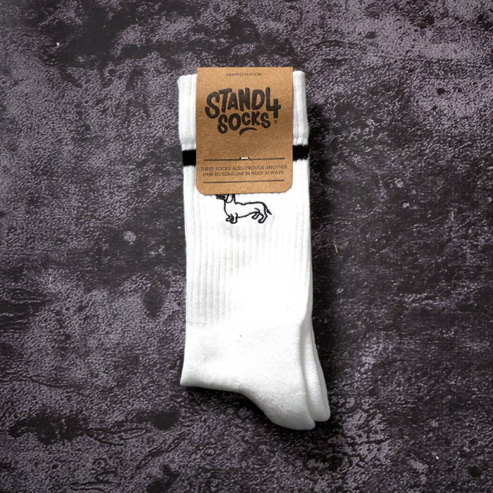 Dachshunds Embroidery Crew Sock