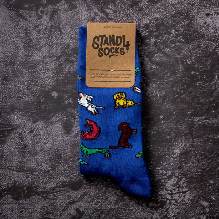 Dachshunds Sock
