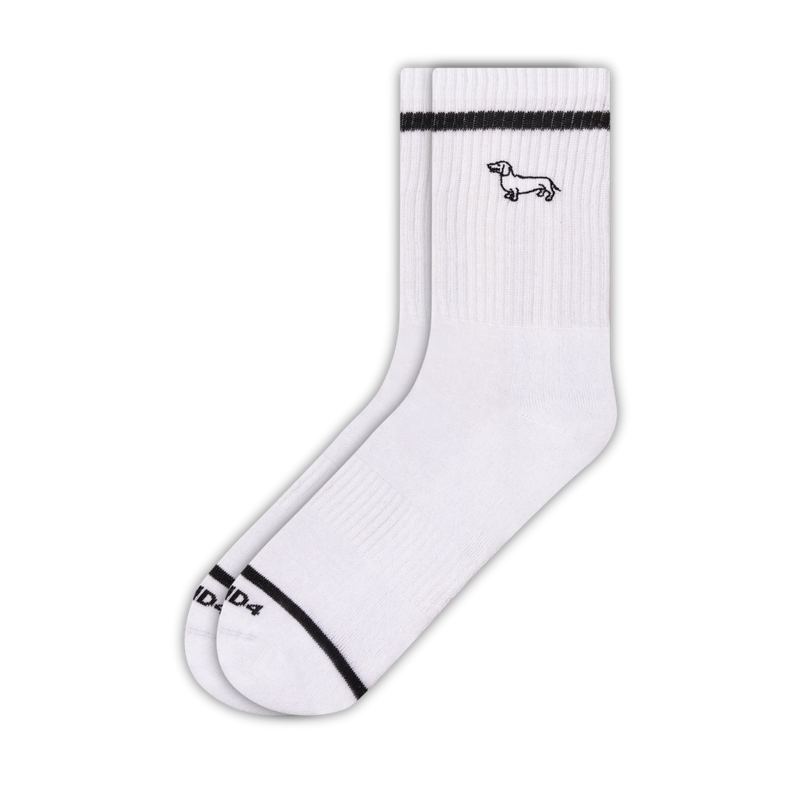 Dachshunds Embroidery Crew Sock
