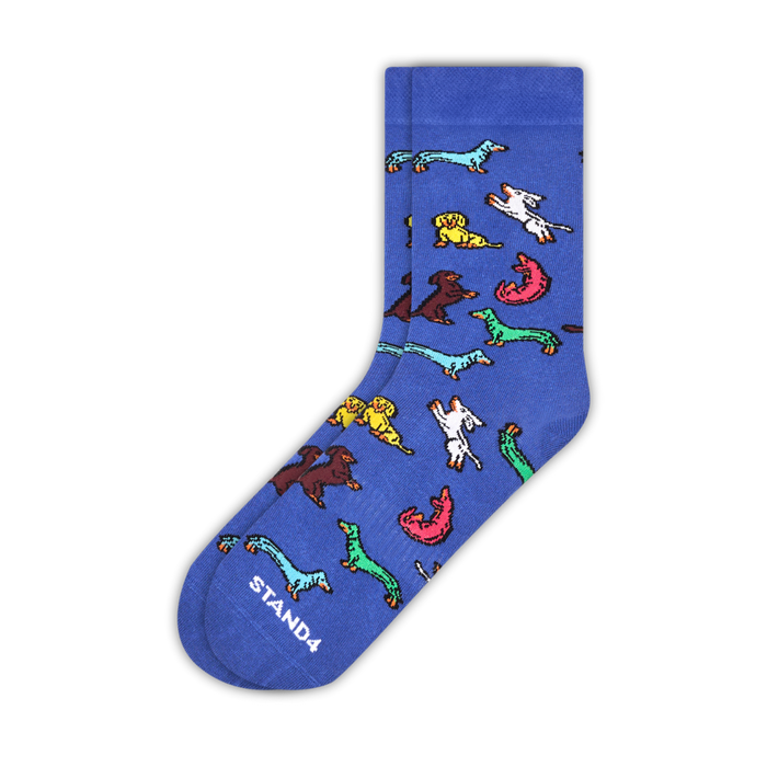 Dachshunds Sock