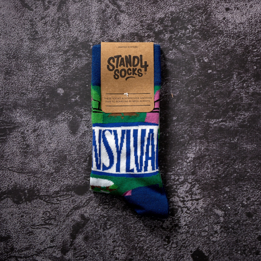 Pennsylvania State Sock 4-Pack