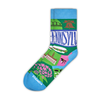 Pennsylvania State Sock 4-Pack
