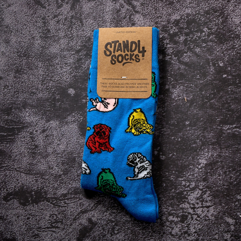 Pugs Sock