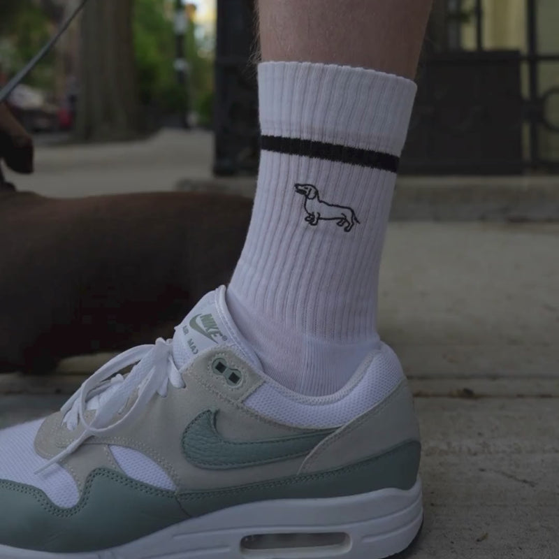 Dachshunds Embroidery Crew Sock