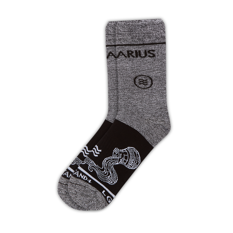 Aquarius Zodiac Sock