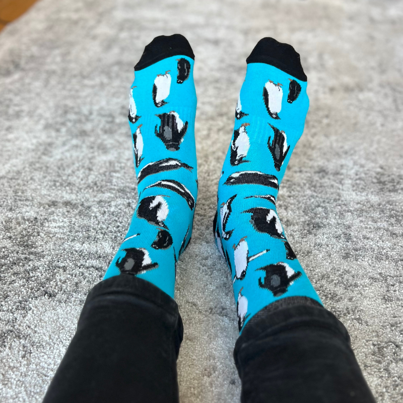 Penguins Sock