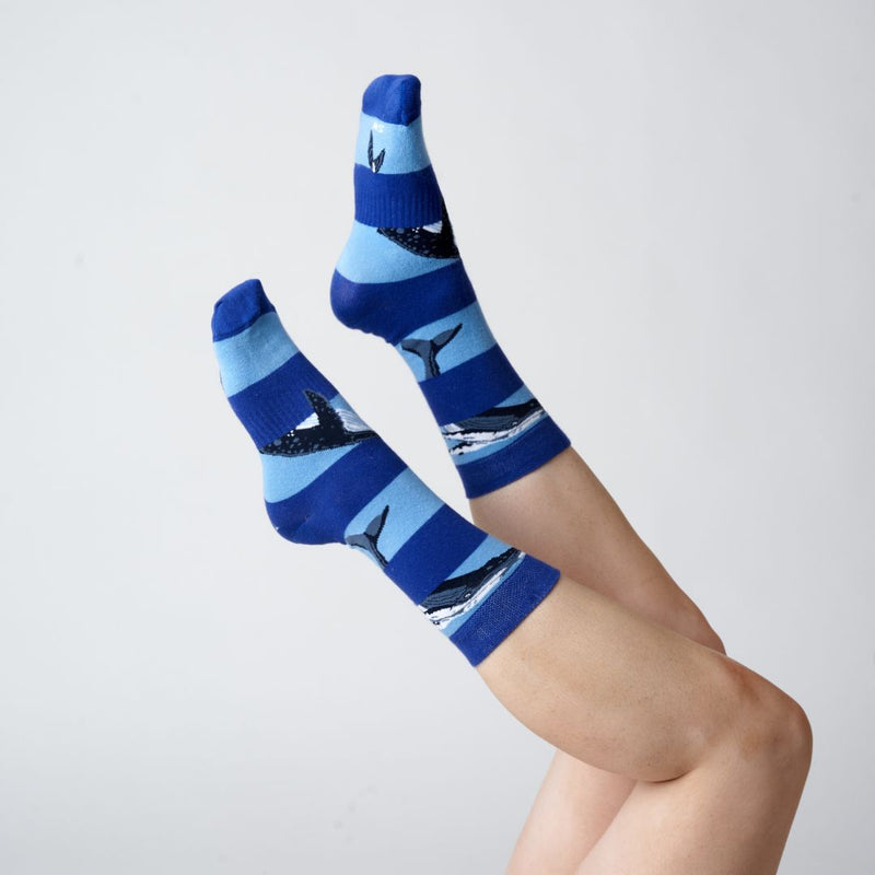 Whale Stripe Sock